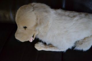 Large Golden Retriever Dog Soft Stuffed Animal Plush Toy Pretend Pet