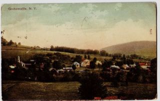 1907 Grahamsville New York NY Postcard Birdseye