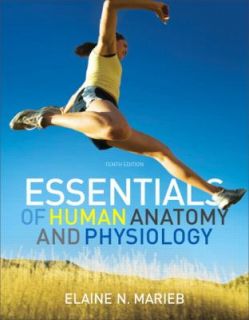 Essentials of Human Anatomy Physiology by Elaine N Marieb and Elaine
