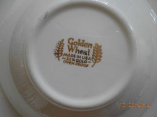 Homer Laughlin Golden Wheat 22 K Gold Oven Proof Dishes Glasses 57 Pcs
