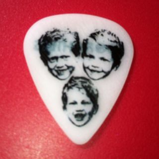 Foo Fighters Dave Grohl Guitar Pick from Summerfest Show 2012
