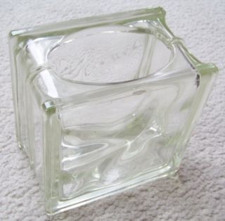 Glass Block Planter Fish Bowl Bare Root Plant Cuttings