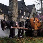 Grandin Road Grim Reaper Halloween Inflatable Carriage Pumpkin 15 NIB