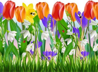 Grass Tulips Flowers Removable Wall Sticker Vinyl Decal Decor Border