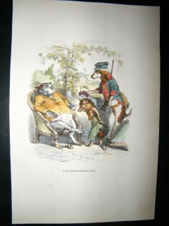 Grandville Des Animaux 1842 Hand Col Print Dogs Fox