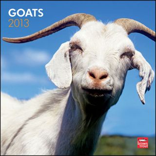 Goats 2013 Wall Calendar