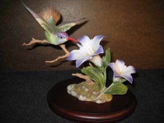 Beautiful 1989 Maruri Violet Crowned Hummingbird Figurine Comes with
