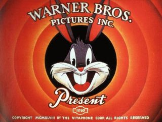 Vtg Warner Bros Looney Tunes Mens Embroided Shirt XL Bugs Daffy Taz