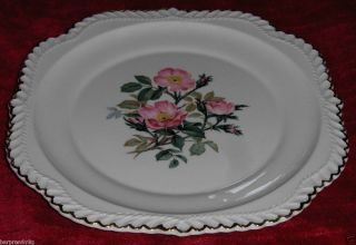  Co Dinner Plate 22 KT Gold Beach Rose Porcelain Ceramic Dish