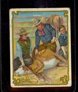 1910 Hassan T53 Cowboy Series Branding A Calf Very Good