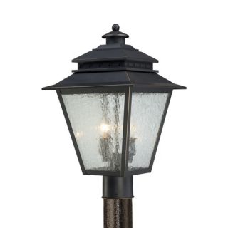 Lite Source Outdoor Wall Lantern in Stainless Steel   LS 1468STS