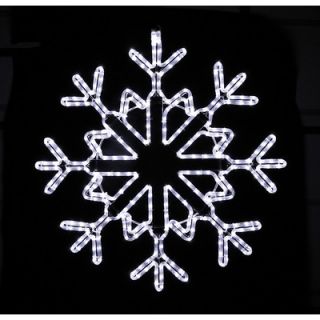 Holiday Lighting Specialists Star Snowflake Rope Light