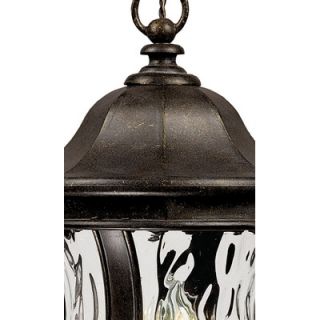 Savoy House Monticella 24 x 10.13 Outdoor Hanging Lantern in Walnut