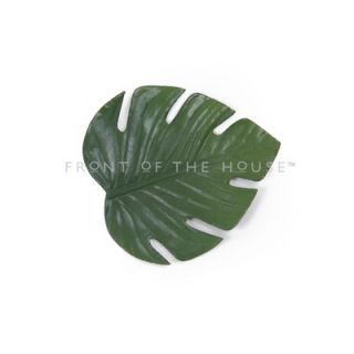  Of The House Philodendron Leaf Coaster (Set of 12)   XCO004GRV83