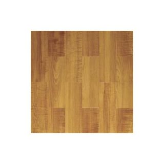 Home Dynamix Paramount 16 x 16 Vinyl Woodtone Traditional Tiles (Set