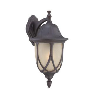 Thomas Lighting Wiltshire 18 1x100W Outdoor Wall Lantern in Painted