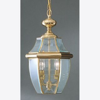 Quoizel 19 Newbury Outdoor Hanging Lantern in Polished Brass