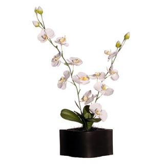 Vickerman Floral 29 Artificial Potted Cymbidium Orchids in White and