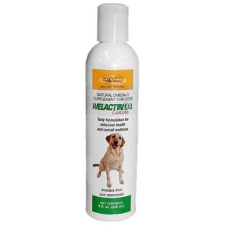 Welactin Canine Nutritional Supplement (240ml)   015NM 250