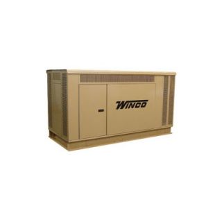 Winco Power Systems Packaged Standby Series 38  
