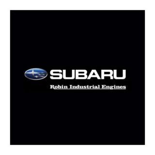 Robin Subaru 50 Amp 125/250V AC Male Twist Lock Plug (6365)