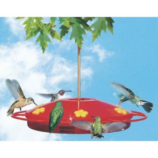 Hummingbird Oasis Feeder   513636