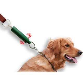 PAW Dog Tweeter Training Aid   82 5484