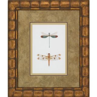 Big Fish Art Dragonfly Duo by Unknown Artist   CSN 30715F