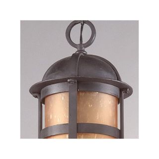 Troy Lighting Aspen Hanging Lantern in Natural Bronze   F9255NB