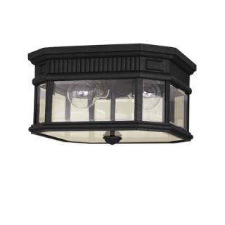 Feiss Cotswold Lane Two Light Outdoor Flush Mount with Clear Shade