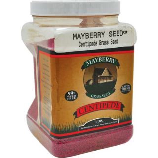 Mayberry Green Lightning Centipede/Carpetgrass Seed   42040 /