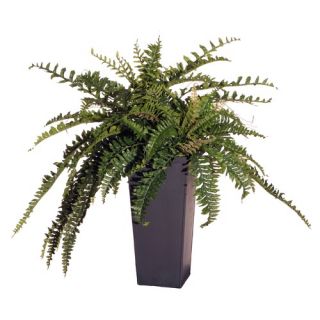 Floral 30 Artificial Potted Double Boston Fern in Green