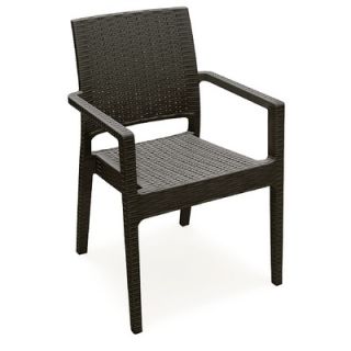 Compamia Ibiza Wickerlook Dining Arm Chair (Set of