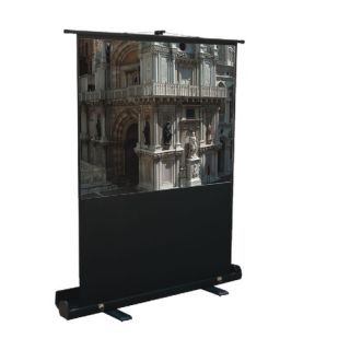  Portable Outdoor DynaWhite Projection Screen   133 169 AR
