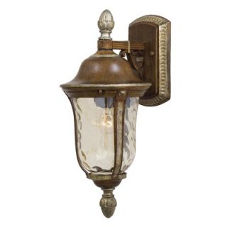  Outdoor Wall Lantern in Mossoro Walnut with Silver   8750 161