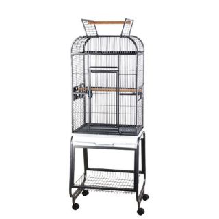 Opening Round Play Top Bird Cage and Stand