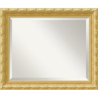 Amanti Art Versailles Medium Mirror in Light Gold   DSW01368