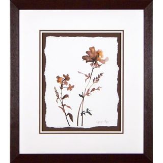 Phoenix Galleries Wildflowers 3 Framed Print   OWP57090