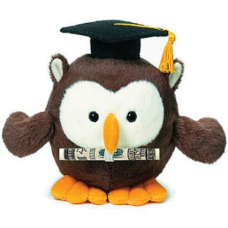 NEW Owl Graduation Money Holder Plush   High School & College Gift for