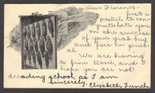 Gill House Inn Henderson Harbor Fish New York Postcard Undivided Back