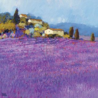 Hazel Barker Wild Lavender Provence Flowers Small