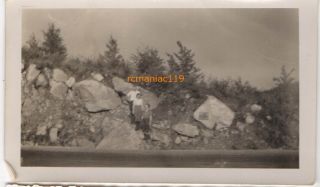 30s Photo Vintage Hibbing MN Ore Mine Roadside Rocks