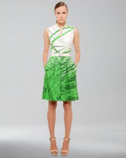 Akris Reed Print Cotton Stretch Dress, Grass   