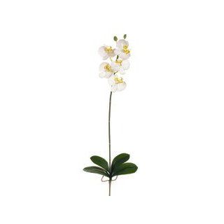 Pack of 6 Artificial White Phalaenopsis Orchid Silk Flower