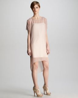 Sheer Polyester Dress  