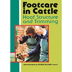 Footcare in Cattle DVD Hoof Trimming Instruction Demo Dairy Beef Show