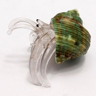 Glass Hermit Crab by Artist with Green Sea Shell Natural Life New