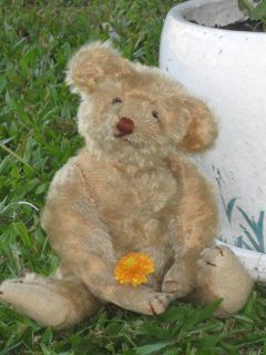  C1907 Hecla Teddy Bear Maisie