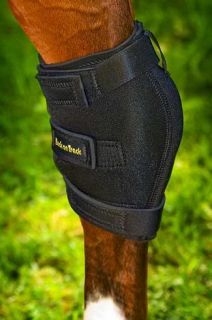 Back on Track Pain Relief Hock Boots for Horses