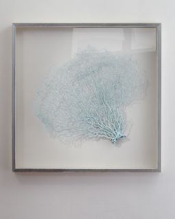 Framed Sea Fans   